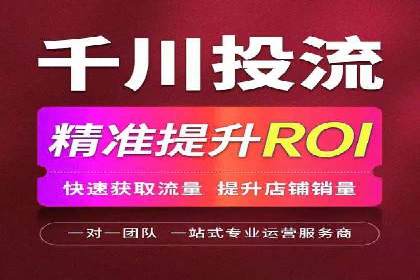 竞价广告在XX行业的成功应用案例